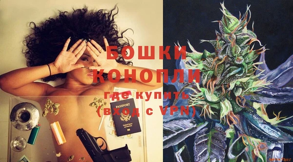 молекула духа Аркадак