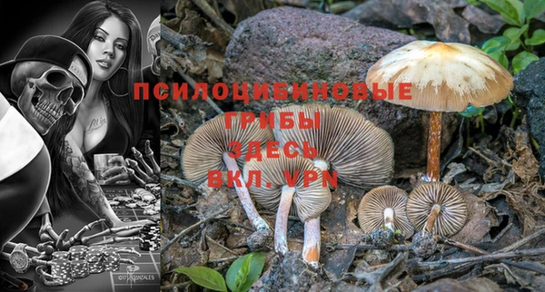 молекула духа Аркадак