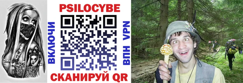 где купить наркоту  Саров  Галлюциногенные грибы Magic Shrooms 